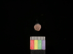 L_V23d3194 J3.35.13 Ux02 dM ca f351 token
